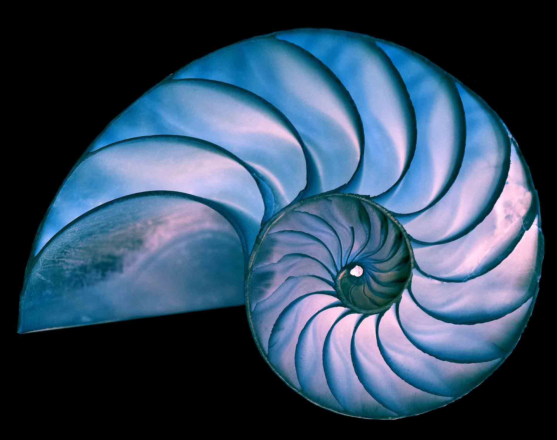 /-/media/images/website/background-images/gpof/patterns/istock-488793832.ashx