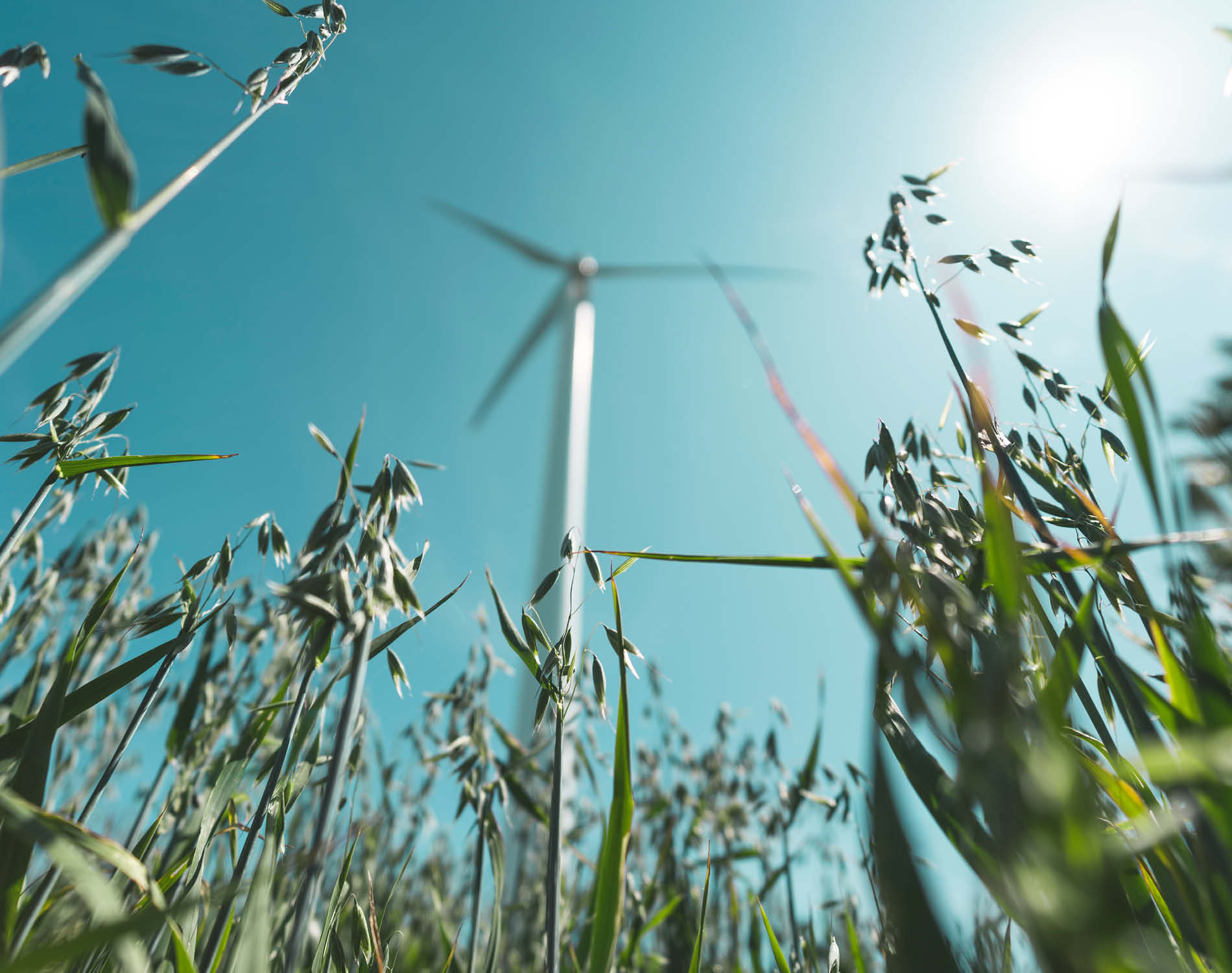 Energy - wind
