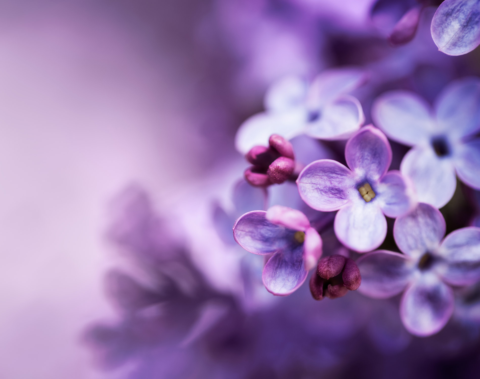 /-/media/images/website/background-images/other/adobestock_141158434.ashx