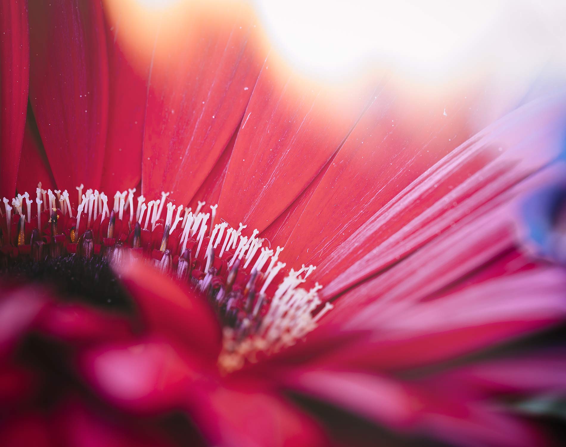 AdobeStock_149179362