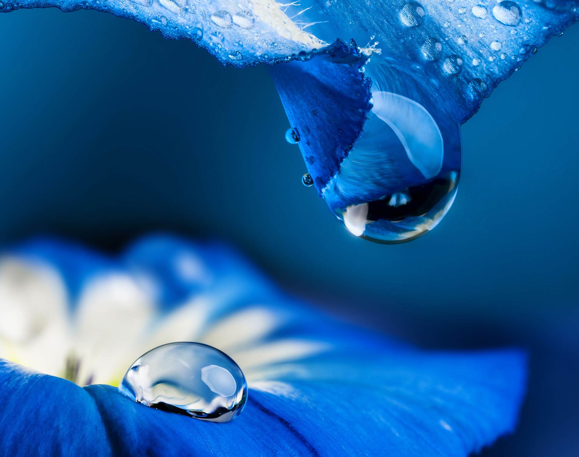 AdobeStock_195877799