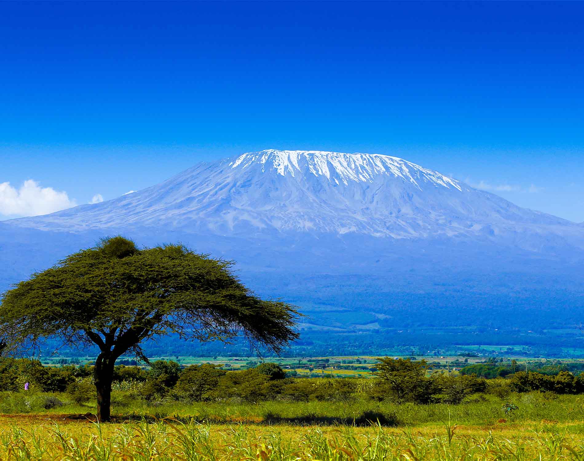 /-/media/images/website/background-images/regions/africa/africa_mount_kilimanjaro_1900x1500.ashx?sc_lang=ko-kr